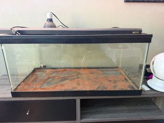 Reptile aquarium/tank