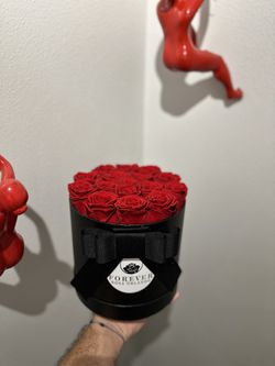 Preserved Roses Valentines  Thumbnail