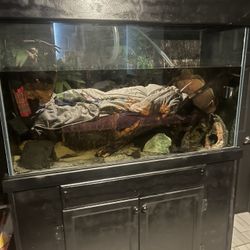 125 Gallon With Lid, Stand, And Decors