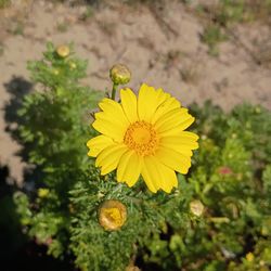 My life is better than yours plain and simple