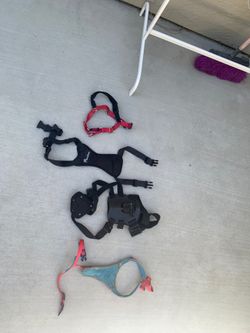 Medium dog harness