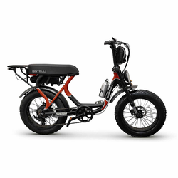 Bintelli Fusion ebike
