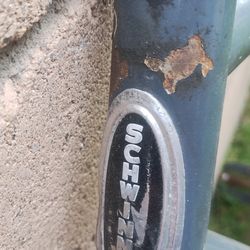 Schwinn Brighton 26...  30 bucks