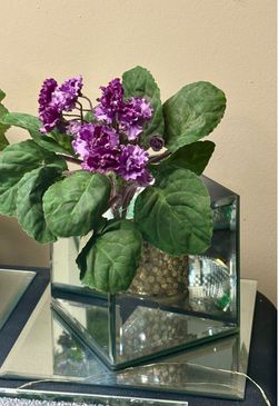 Beautiful Mirrored Planter
