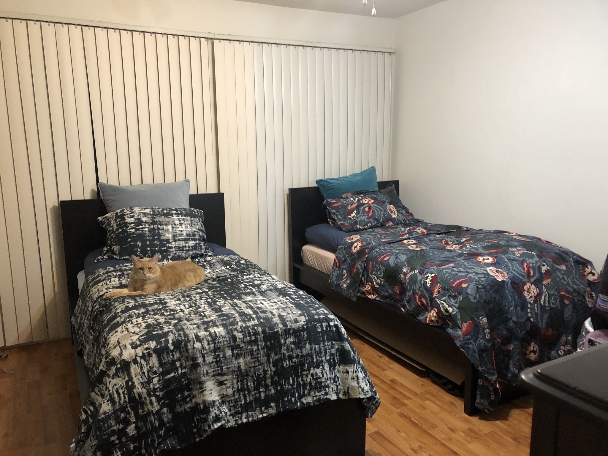 Save $1000 Twin Bed Setup