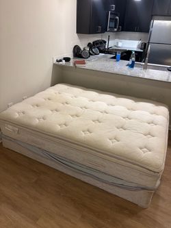 Queen size Sealy bed and box spring
