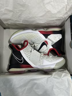 LeBron 14 10.5
