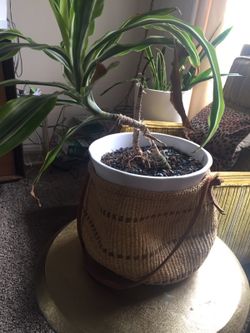 Cute basket
