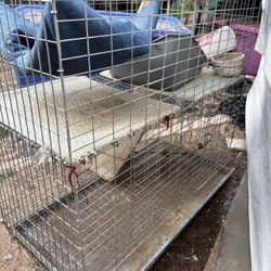 Two Level rabbit Cage - small Rodents