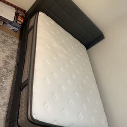 Queen bed frame with mattress