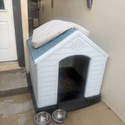 Dog House 