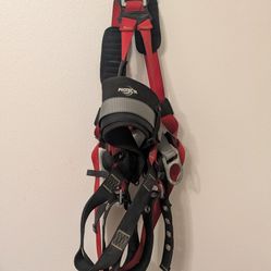 Pro By Protecta Harness 