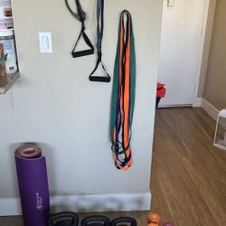 🏋️‍♀️ Complete Home Gym Set