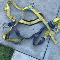 Safety Harness