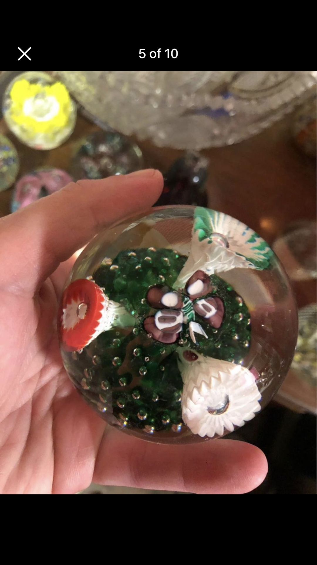 Vintage clear glass paperweight with long flowers inside