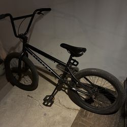 Elite BMX bike