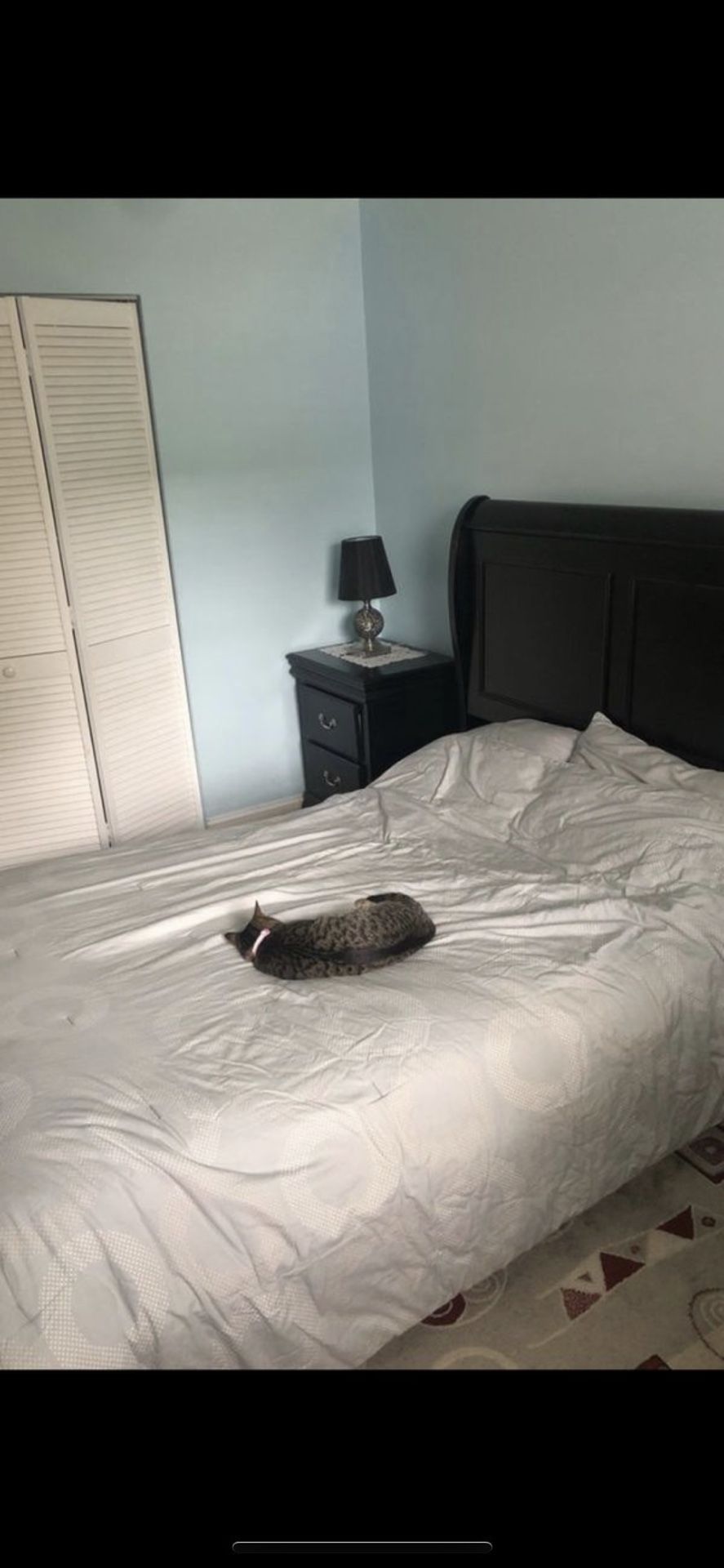 Queen Sized Bed Frame(Cat not included)