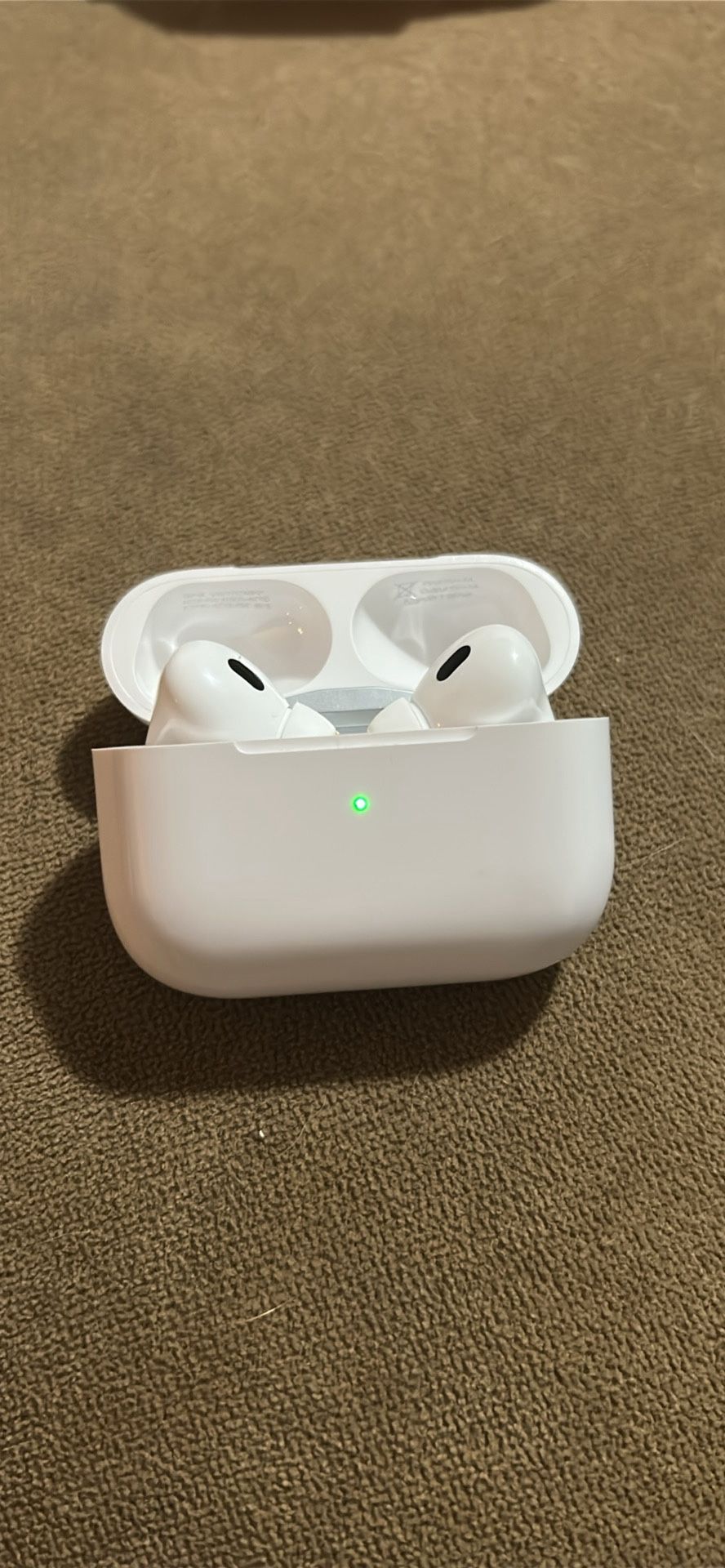 Earbuds (GOOD DEAL)
