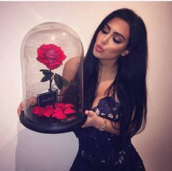 $150 Beauty and the Beast Eternal flower:)