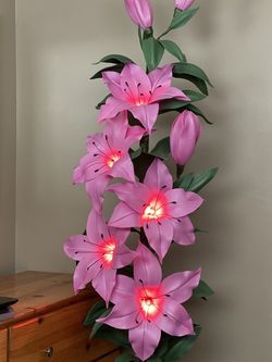 Lily lamp height -5.7 Ft
