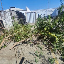 FREE REMOVEMOS BASURA TODAY $$