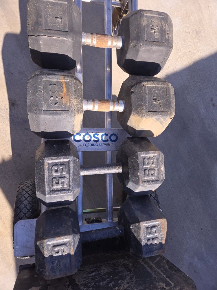 65lb Dumbbells