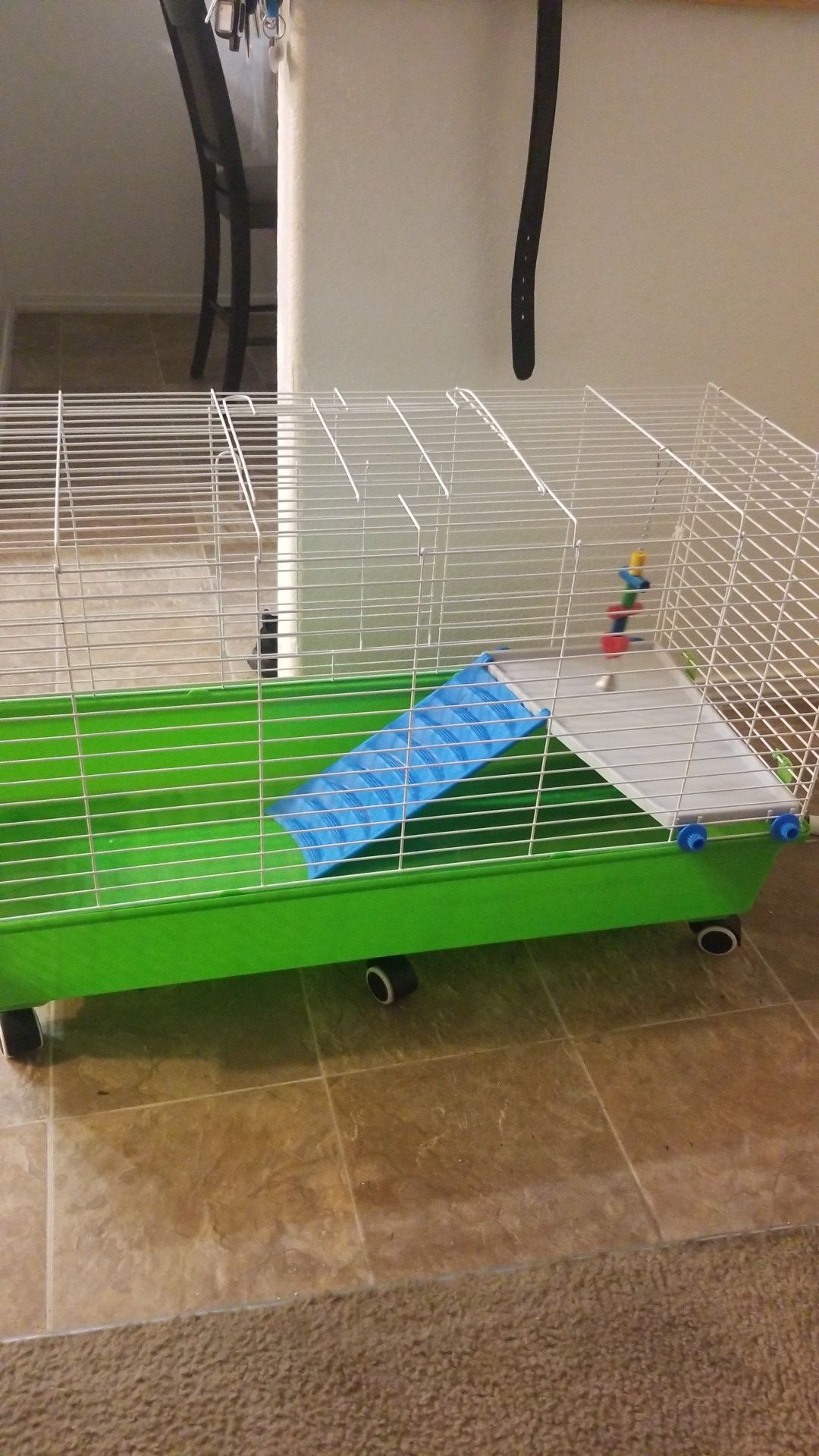 Cage for guinea pig n rabbit