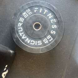 45 Lb Bumper Plate