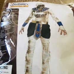 Kids Revenge Boys Pharaoh Costume