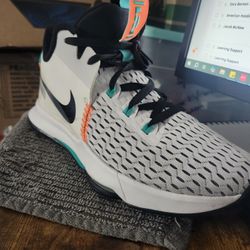 Nike LeBron 