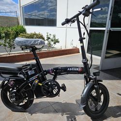 Electric Folding Bike 