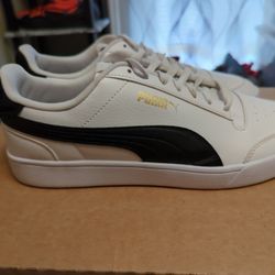 Pumas