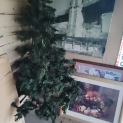 pino no tiene base mide 6 pies $20. cuadros $5 cada uno. 