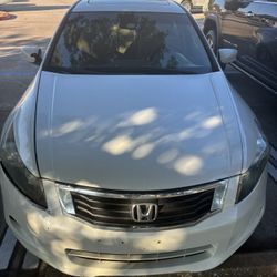 2010 Honda Accord