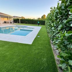 Grass