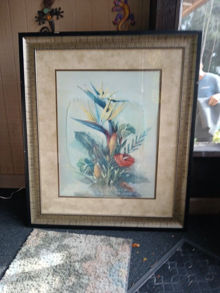 Framed Pictures