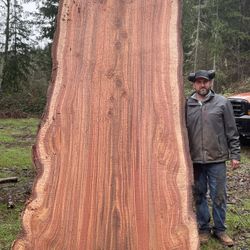 Massive Redwood Dining Table Live Edge Slabs 