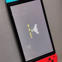 Nintendo Switch Mod Chip