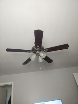 Ceiling fan