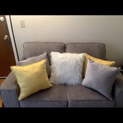 Good Condition Couches