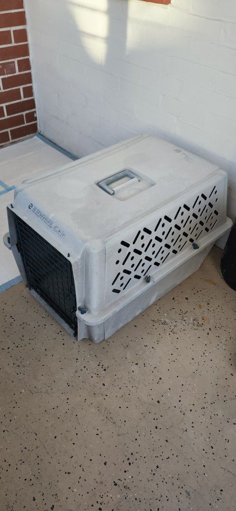 Small /Medium size Dog Carrier