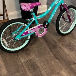 18” Schwinn Koen And elm Bicycle 