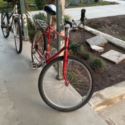 Bicycles For Sale