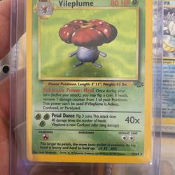 Holo Vilwplum $17
