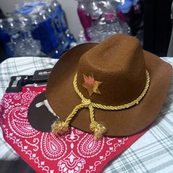Pet Cowboy Costume 
