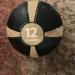 Twelve Pound GoFit .Net Medicine Ball