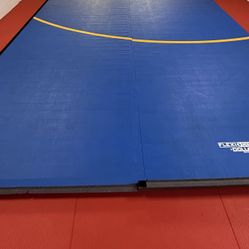 Mat wrestling/jiu jitsu 12'x12'x2"