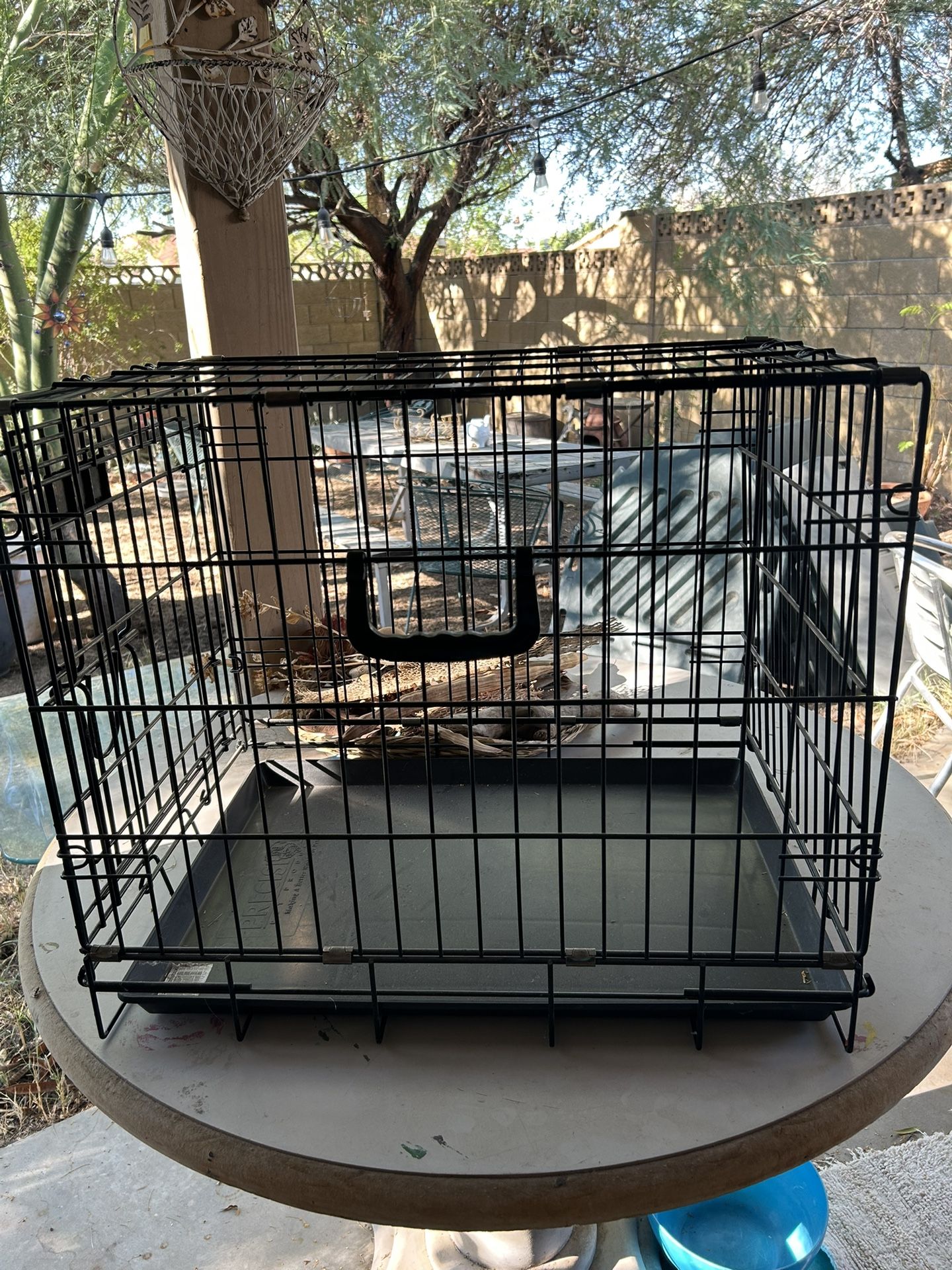 Dog Crate
