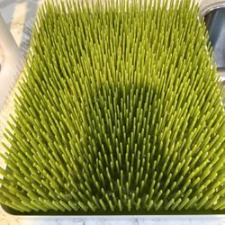 Baby Bottle Drying Grass