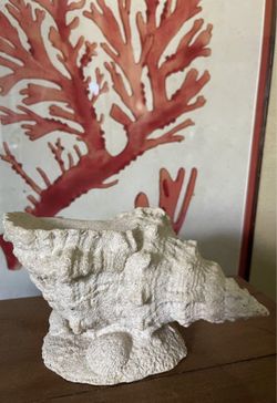 Coastal Seashell Decor 